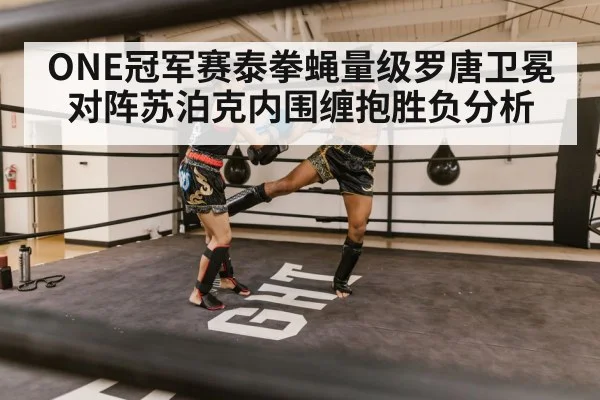 Muay Thai clinch fighters